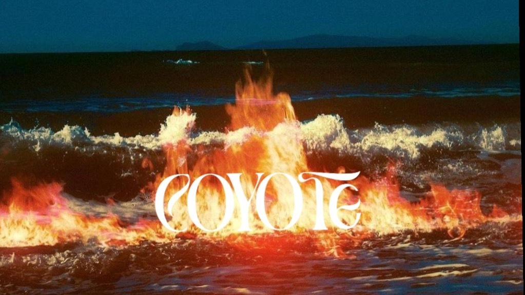 c o y o t e banner image