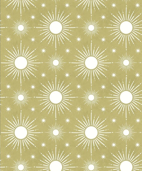 Ray O'Sunshine cover image