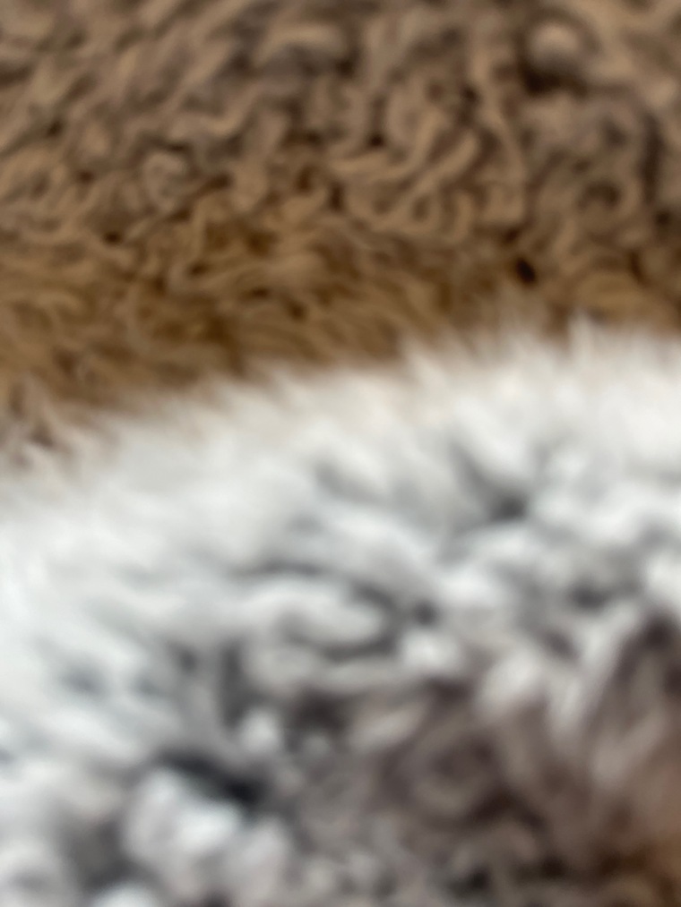 Raya Alder - Hand & Foot Fetish Page banner image