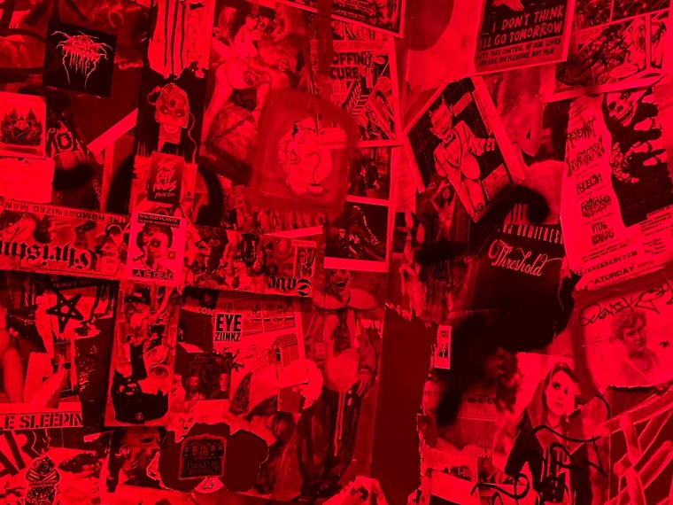 raygonewildx banner image
