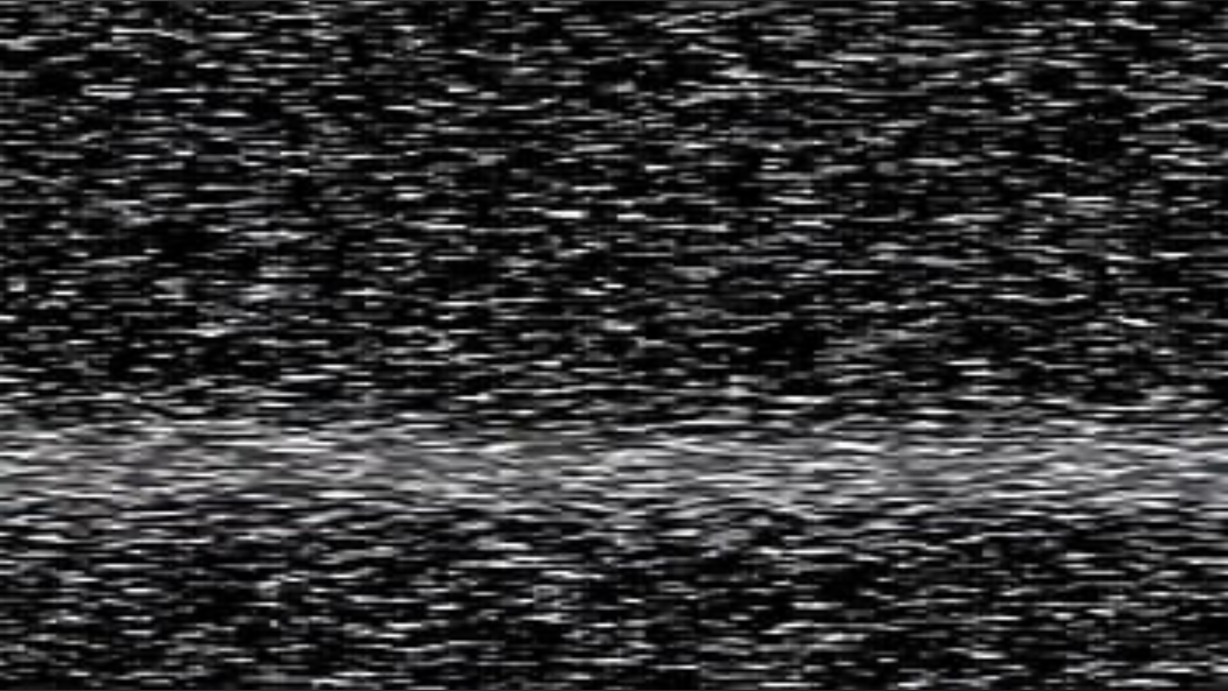 Rayne banner image