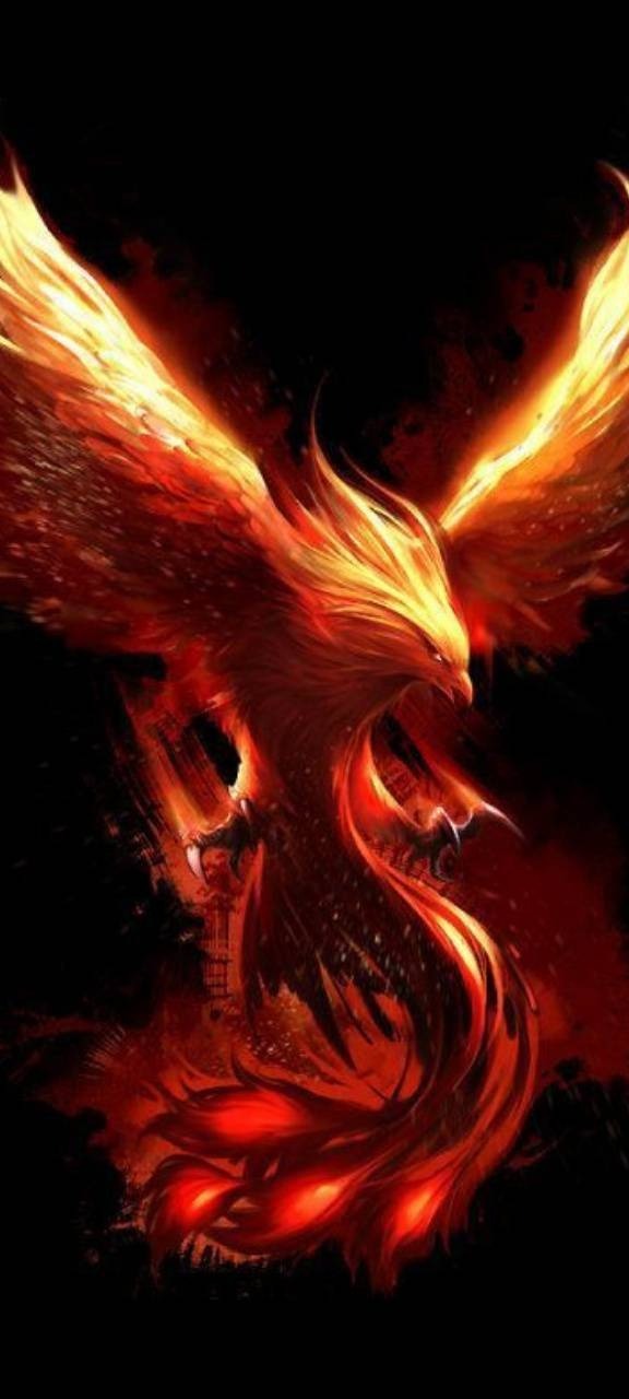 Raystanley27 banner image