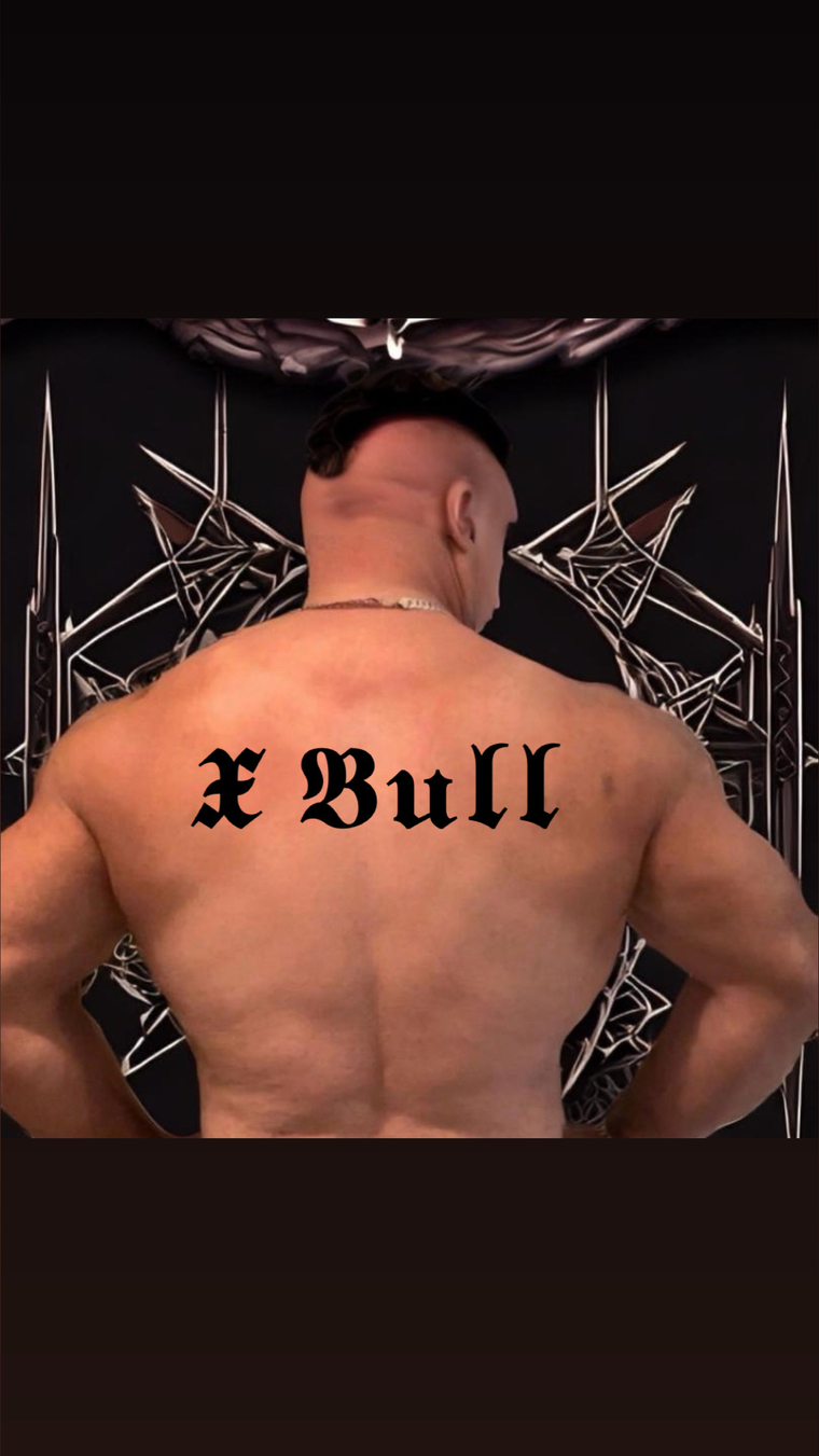 𝕽𝖆𝖞 𝖃 𝕭𝖚𝖑𝖑 cover image