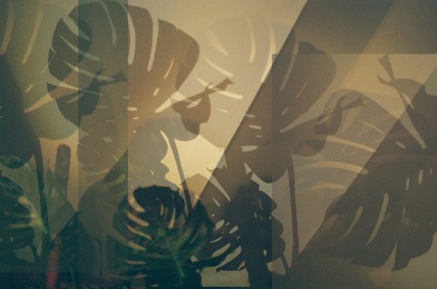 Parvati cover image