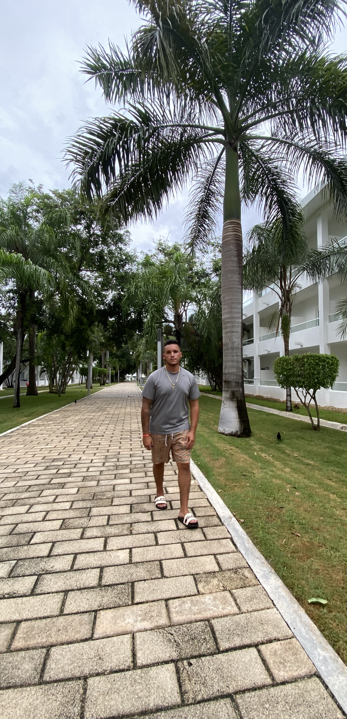 DolloDubzzzz banner image