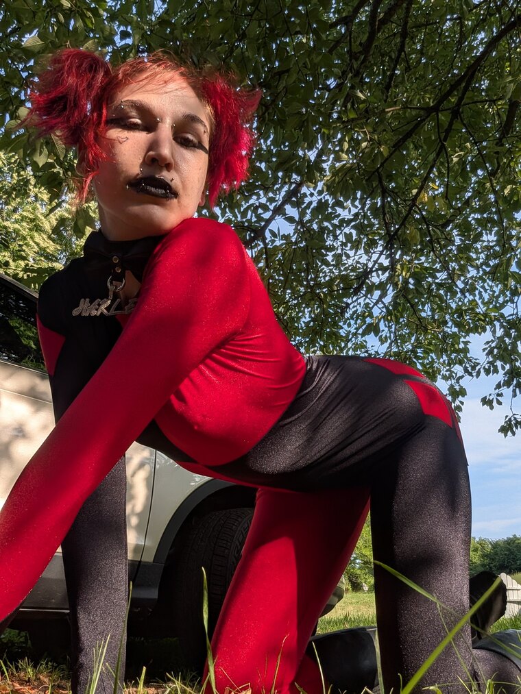 Harley Q banner image