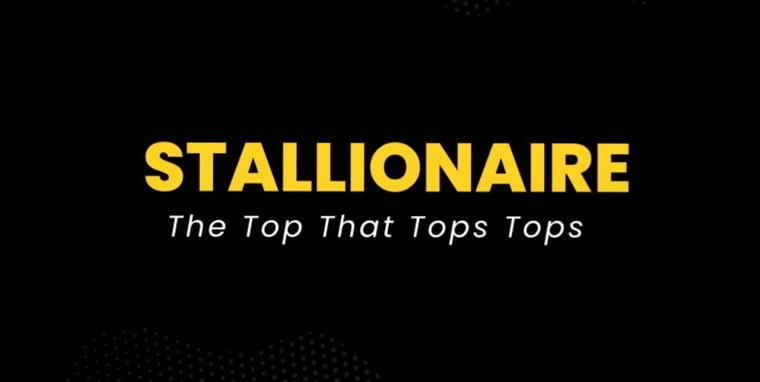 Stallionaire cover image