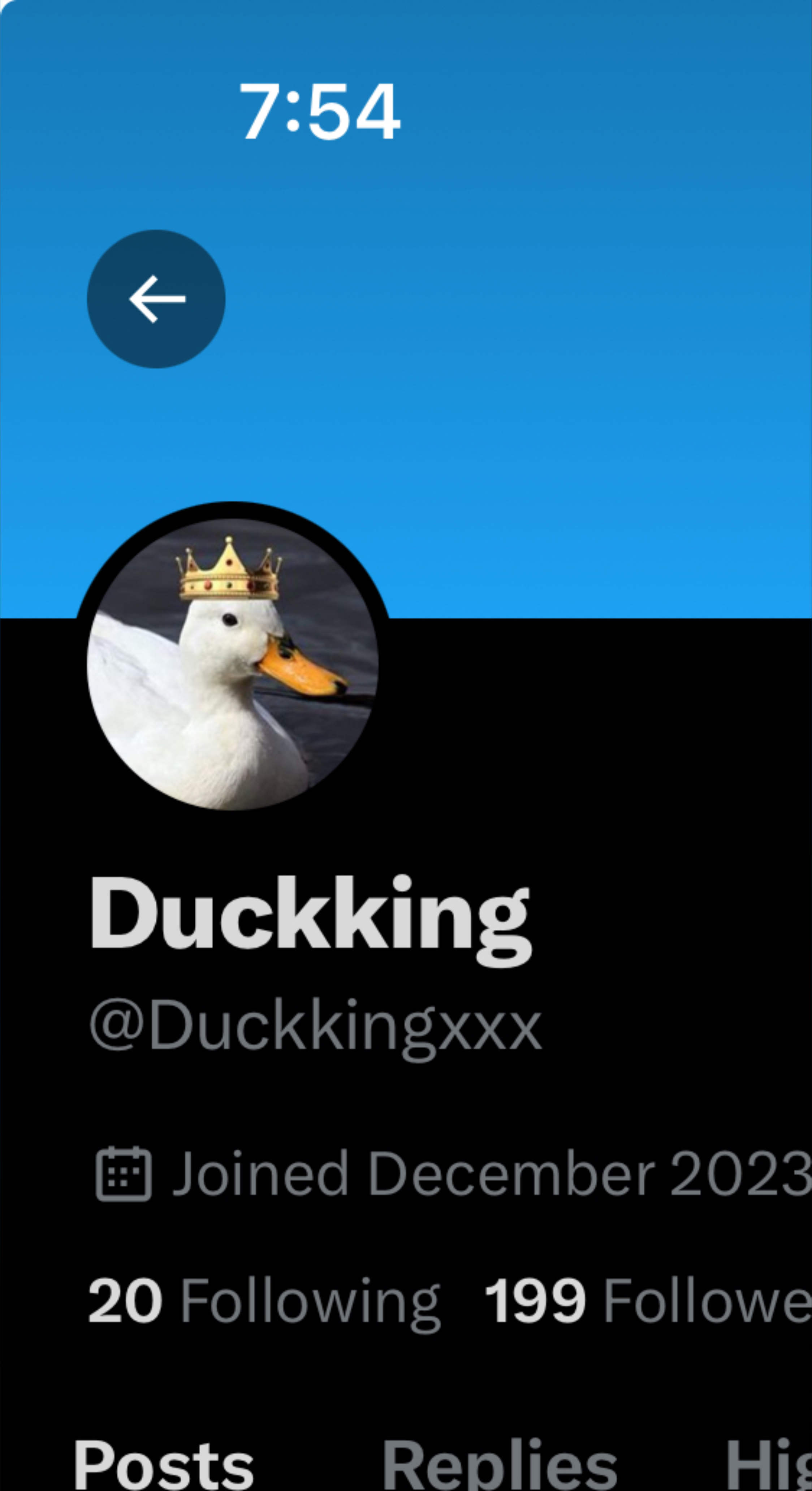 King Duck banner image