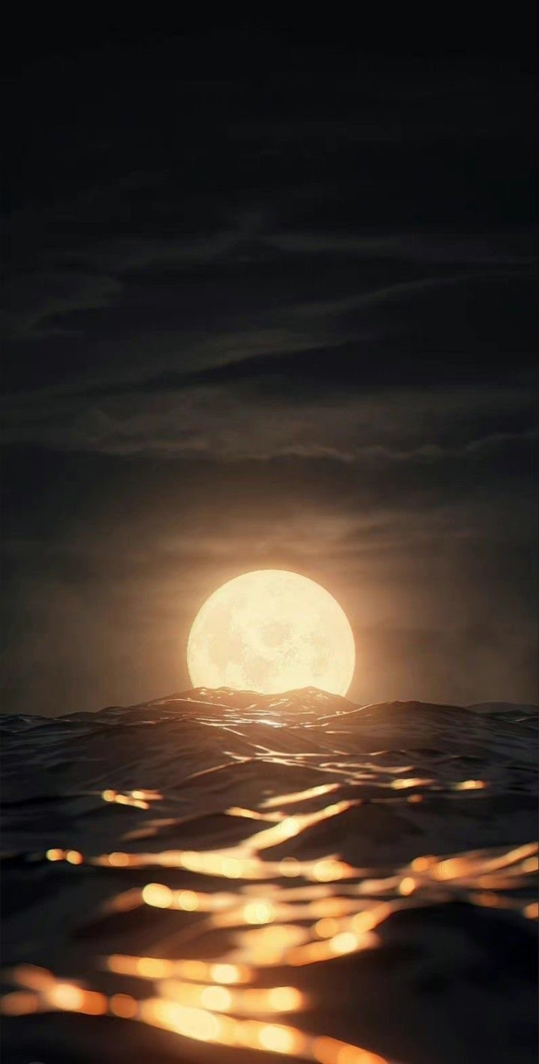 Rebeca Smith banner image