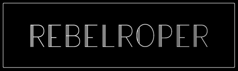 RebelRoper cover image