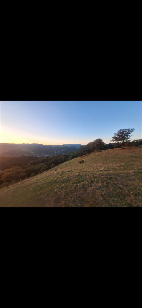 Apollo cover image