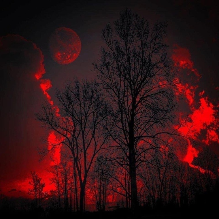Red banner image