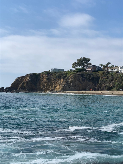 RedBear415 cover image