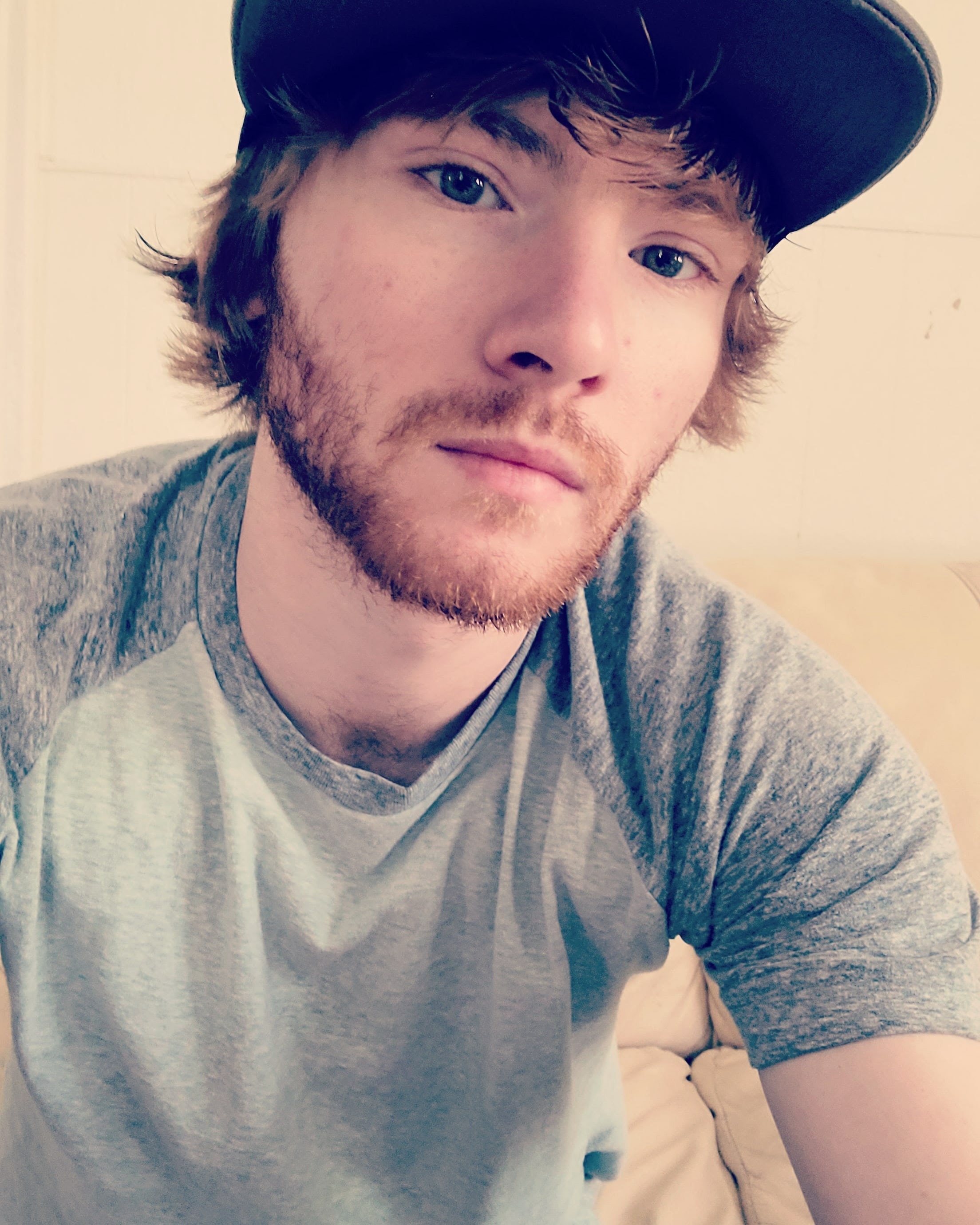 Ginger banner image