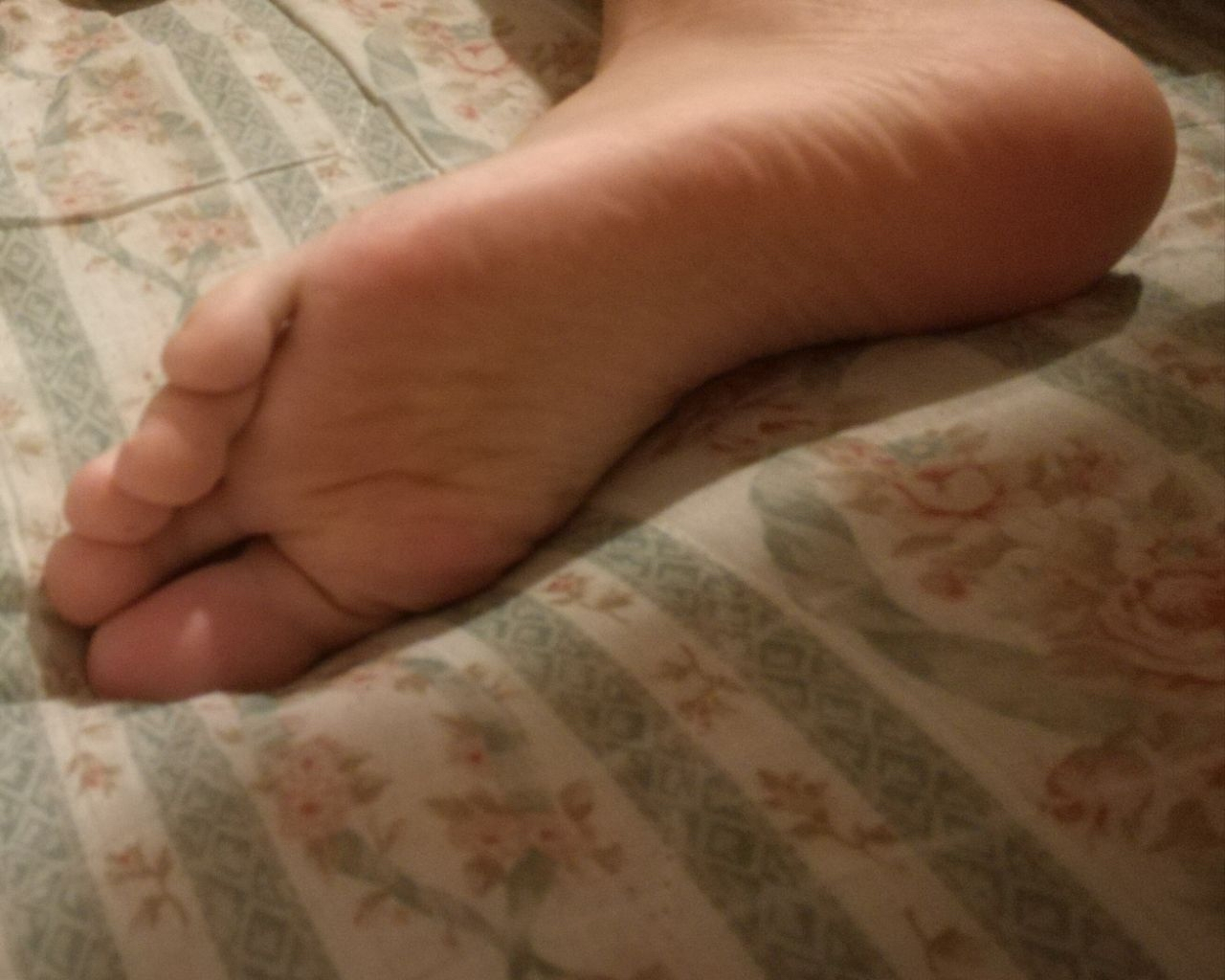 redfoxfeet banner image