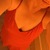 Redhairblueyes avatar