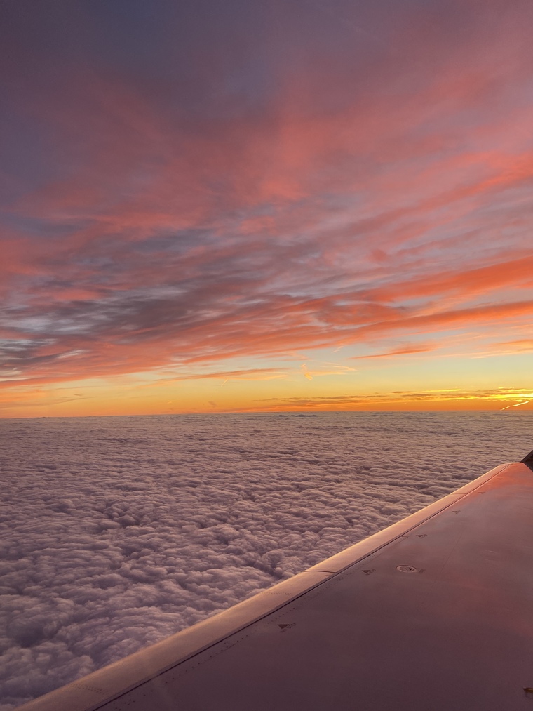Red88 banner image