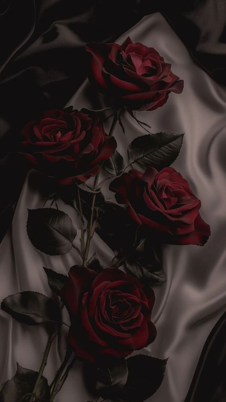 Nicole cover image