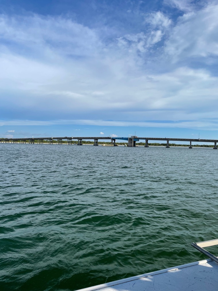 Madison cover image