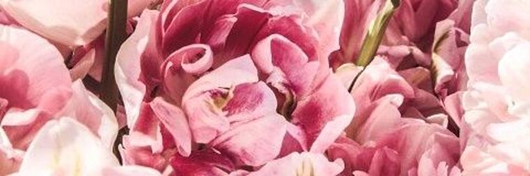 redhoneybaby banner image