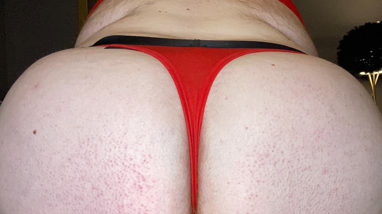Chubby Ginger cover image