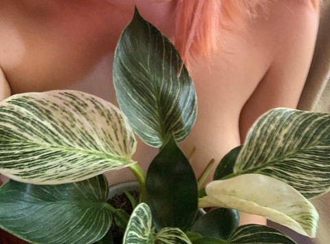 RedHotDolly cover image