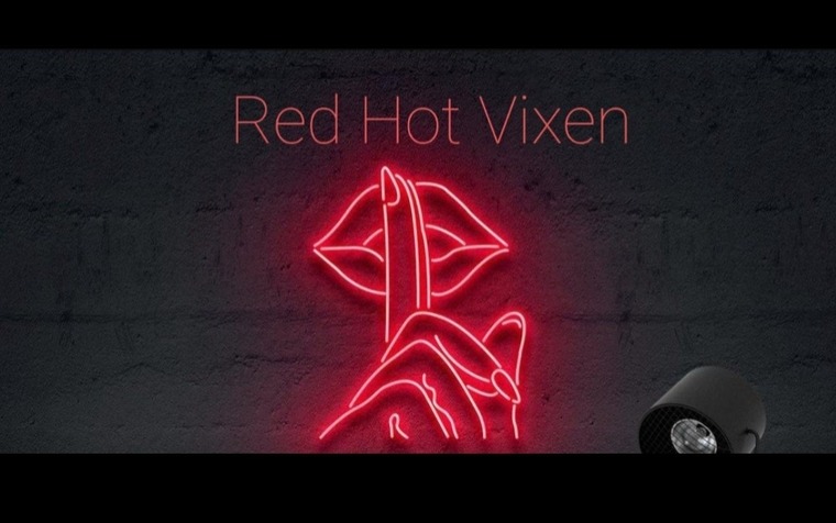 Vixi cover image