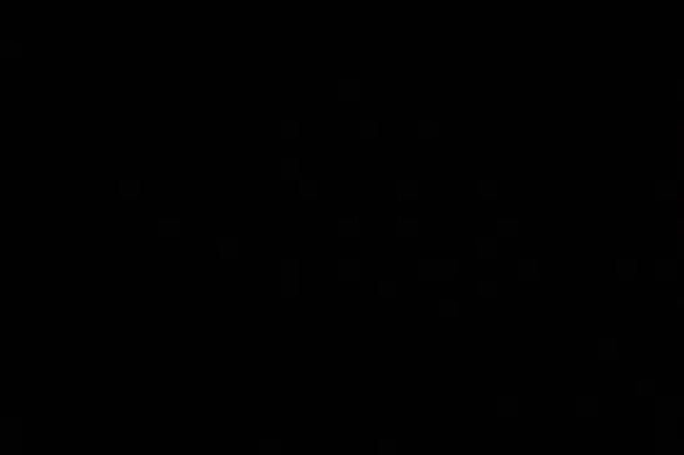 panthère cover image