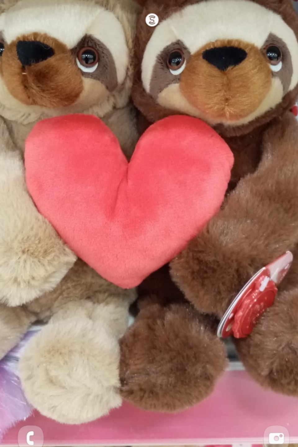 Redrosecurves banner image