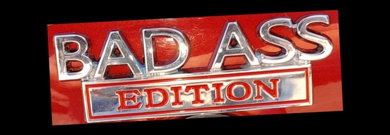 RedVixen banner image