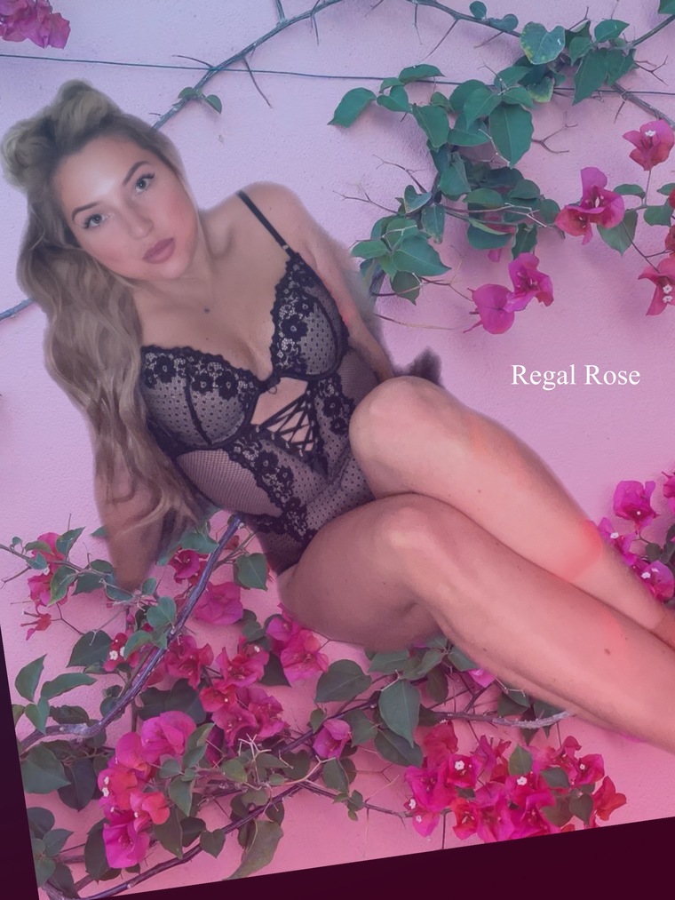 Regal Rose banner image