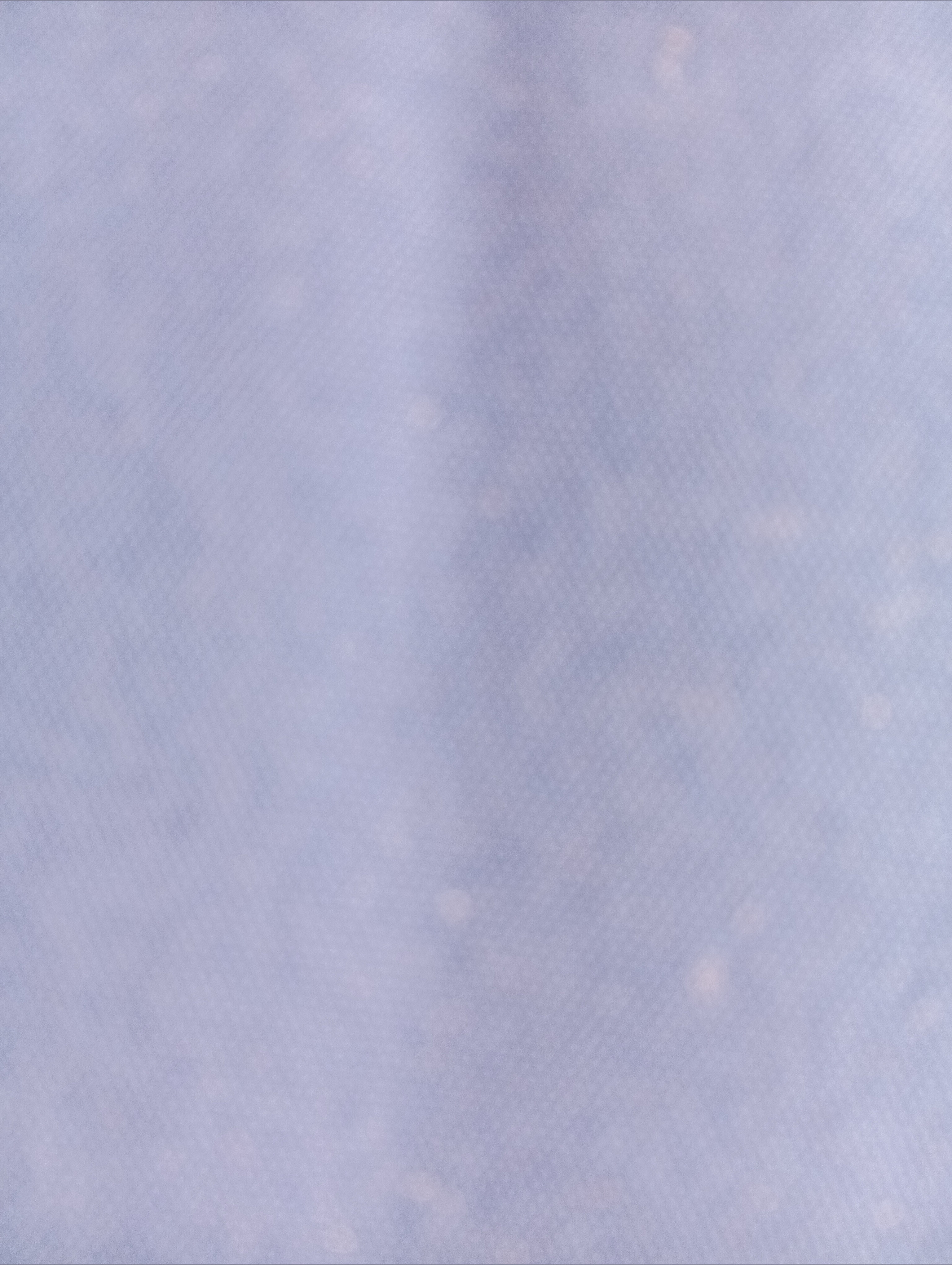 Reigncj banner image