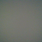 Reina Leon avatar