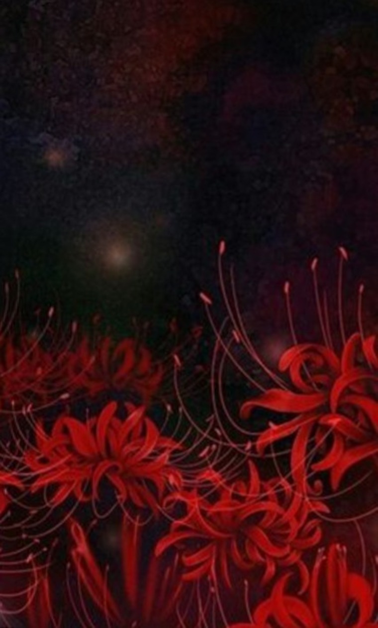 Rei Farron banner image