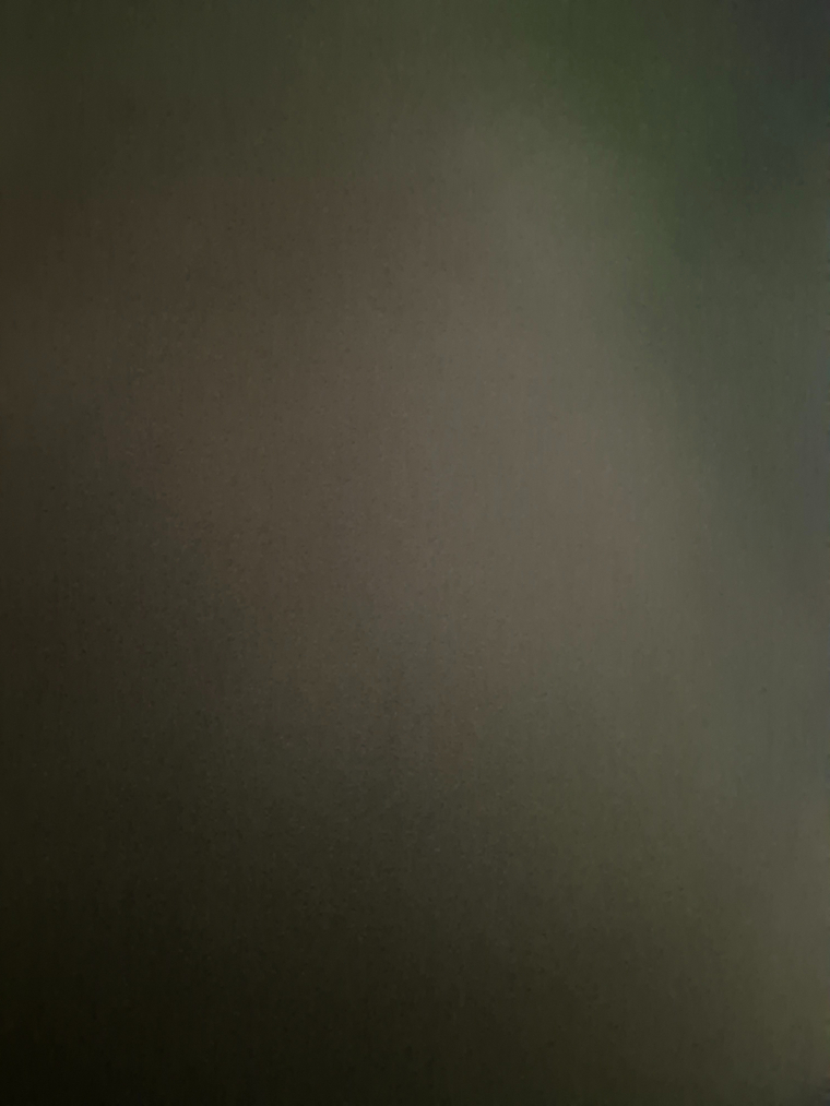 Renmort banner image