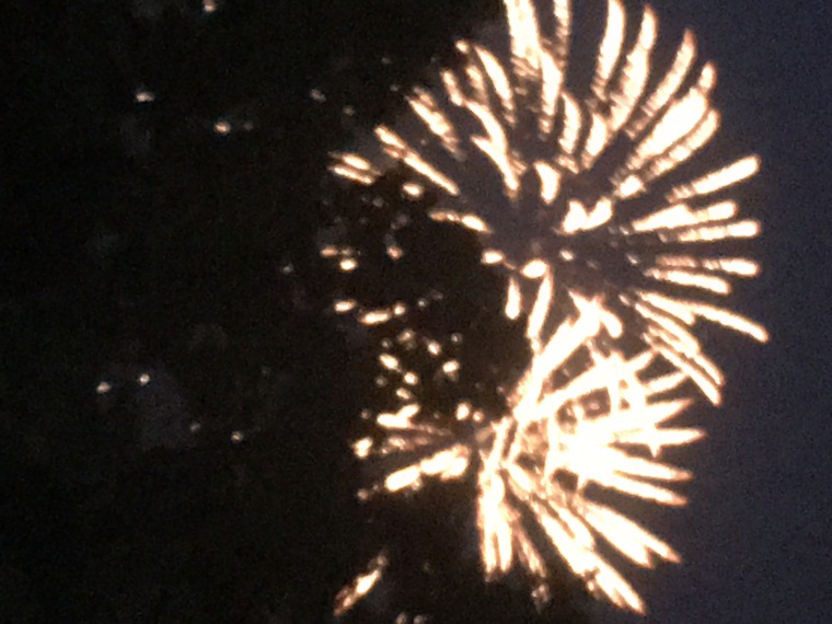 Kiara Williams banner image