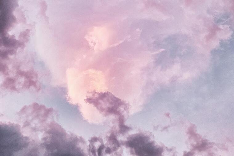 Renee Baby cover image