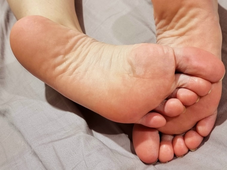 Reneesoftsoles banner image