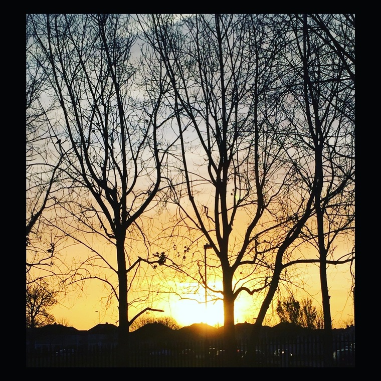 RevolutionBlues cover image