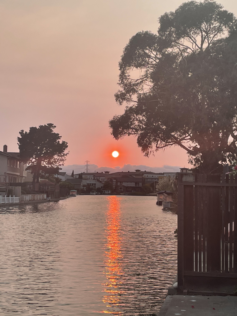 ReynaLove cover image