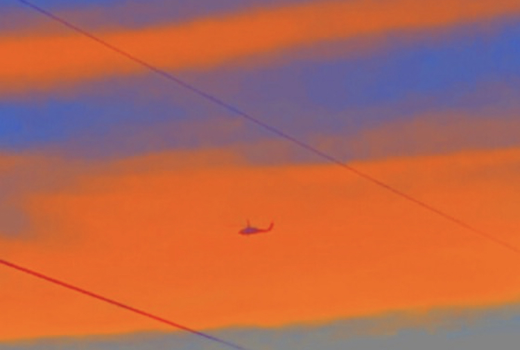 rhi xx banner image