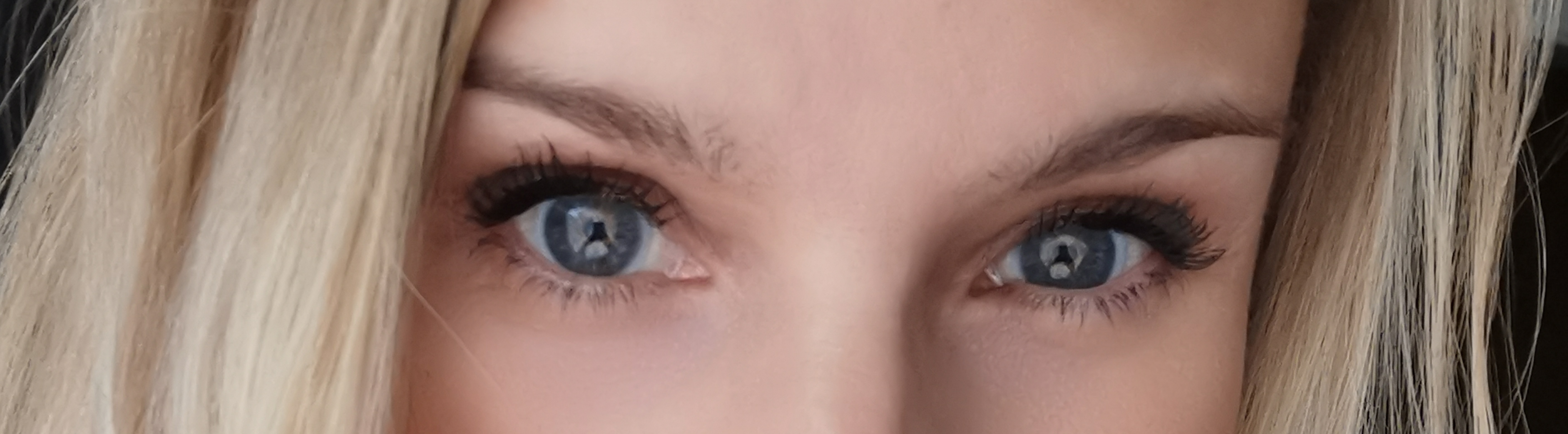 Rhoxy banner image
