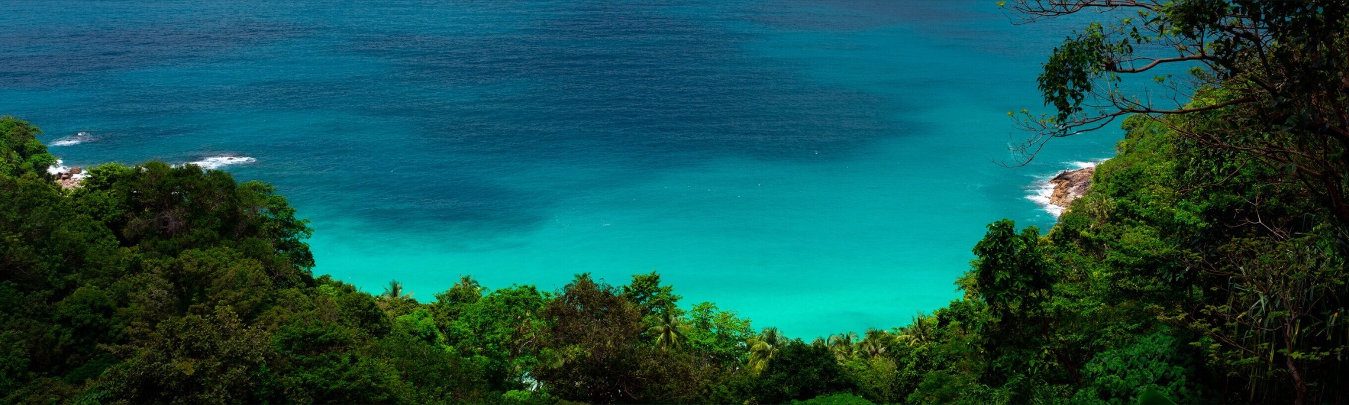 MollywithRick banner image