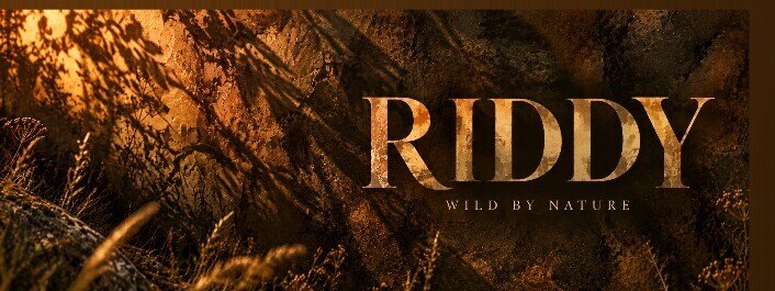 Riddy banner image