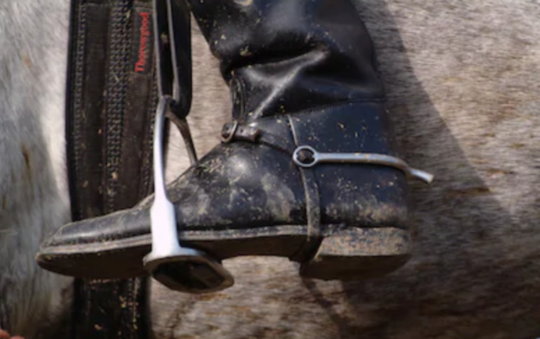 Riding Boots banner image