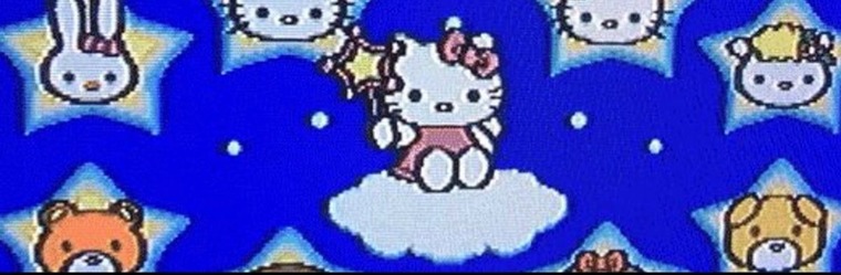 rinaboo π£ banner image