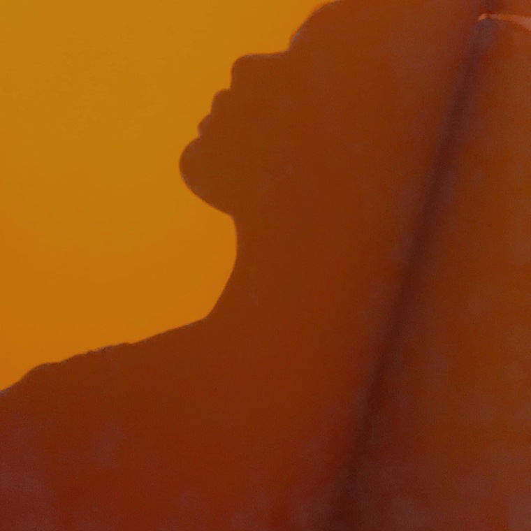 rinrada.v cover image