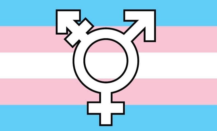 RinTranstastic banner image