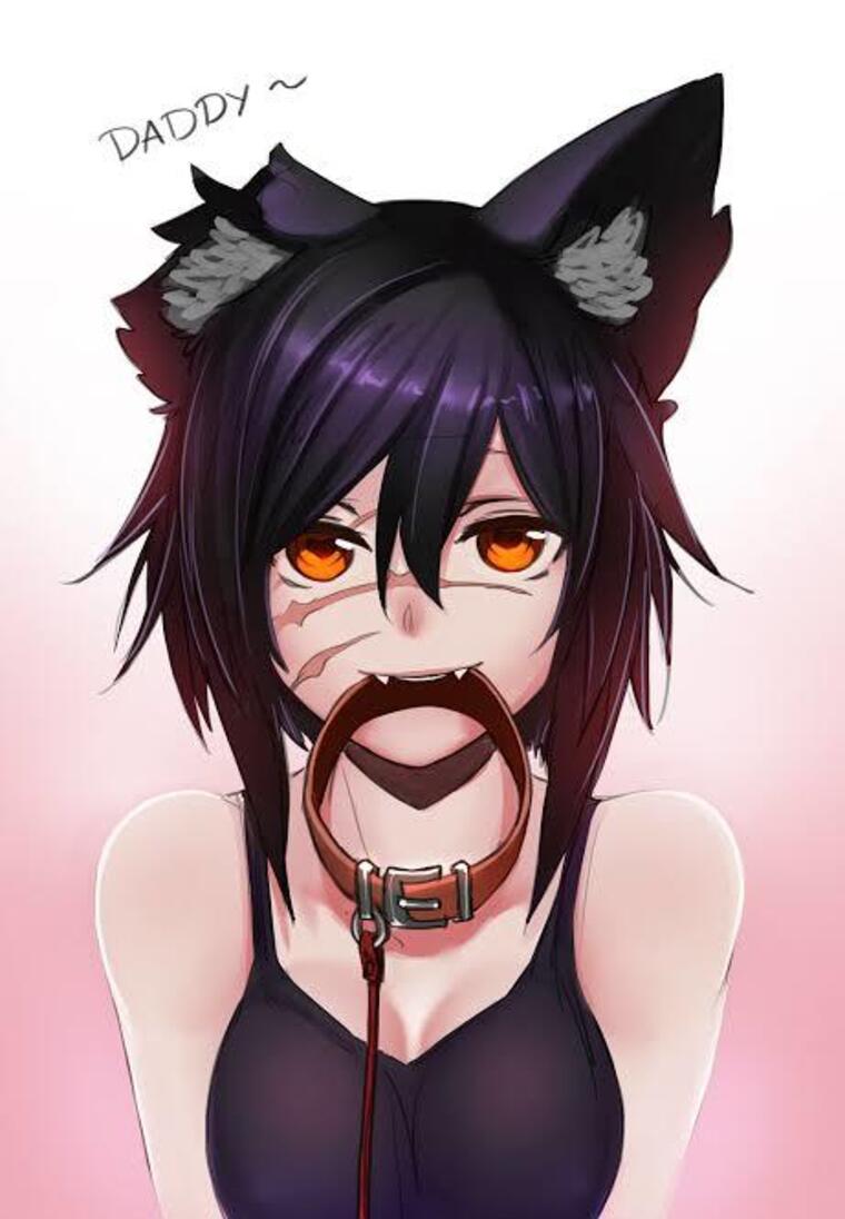 Zumoku banner image
