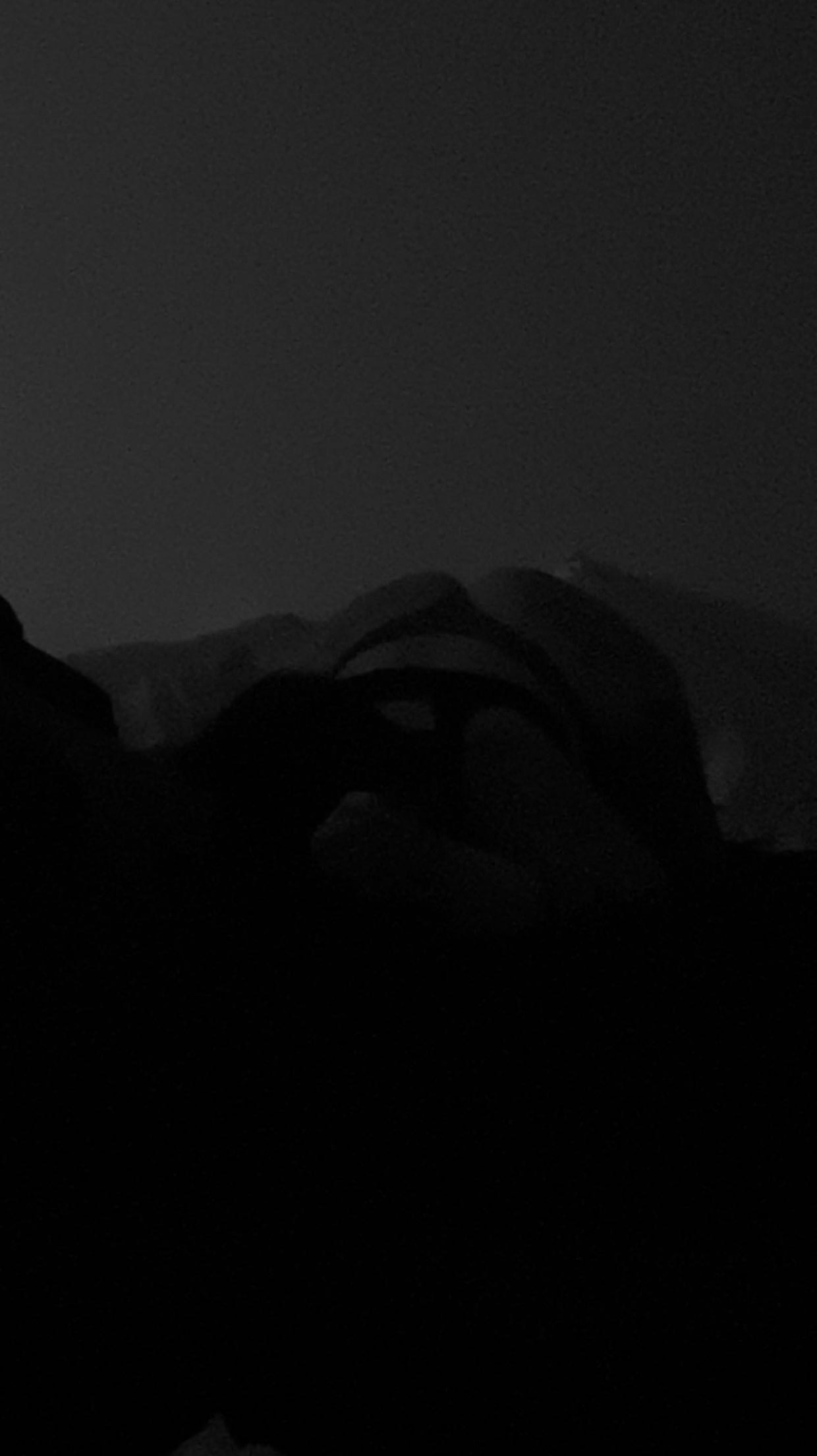 Emmerson banner image